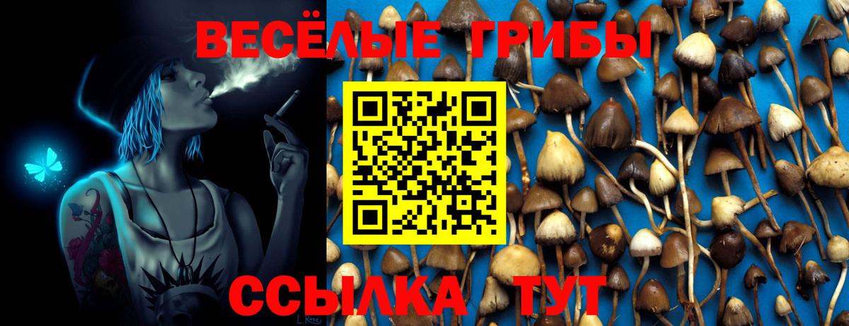 Галлюциногенные грибы Psilocybine cubensis Воткинск